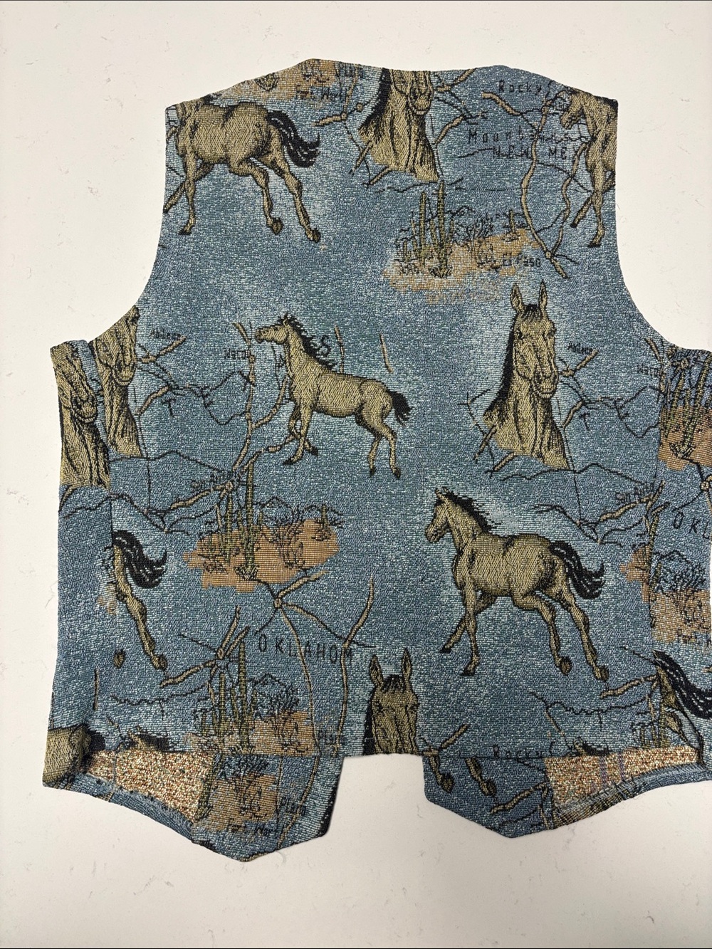 Southwest Canyon Women's Blue Horse Print Vest - Picture 6 of 11